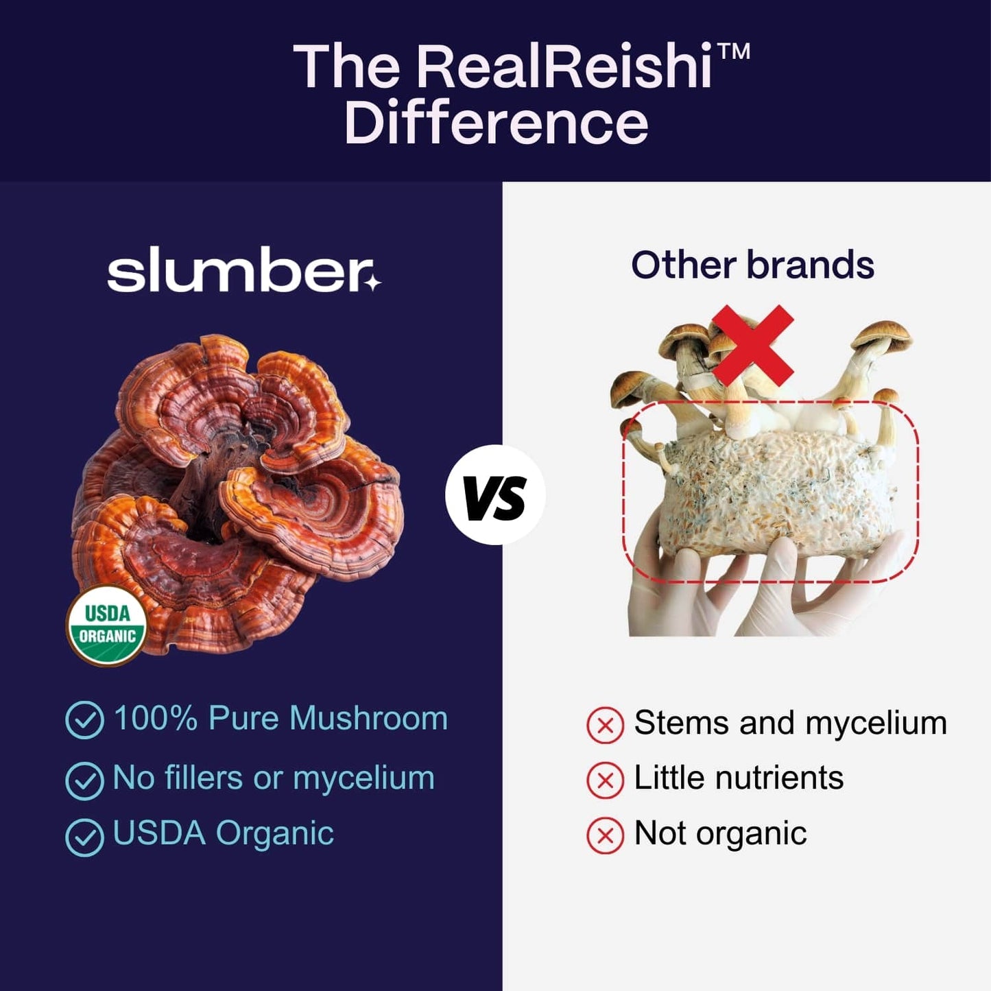 Rest & Renew Mushroom Sleep Gummies